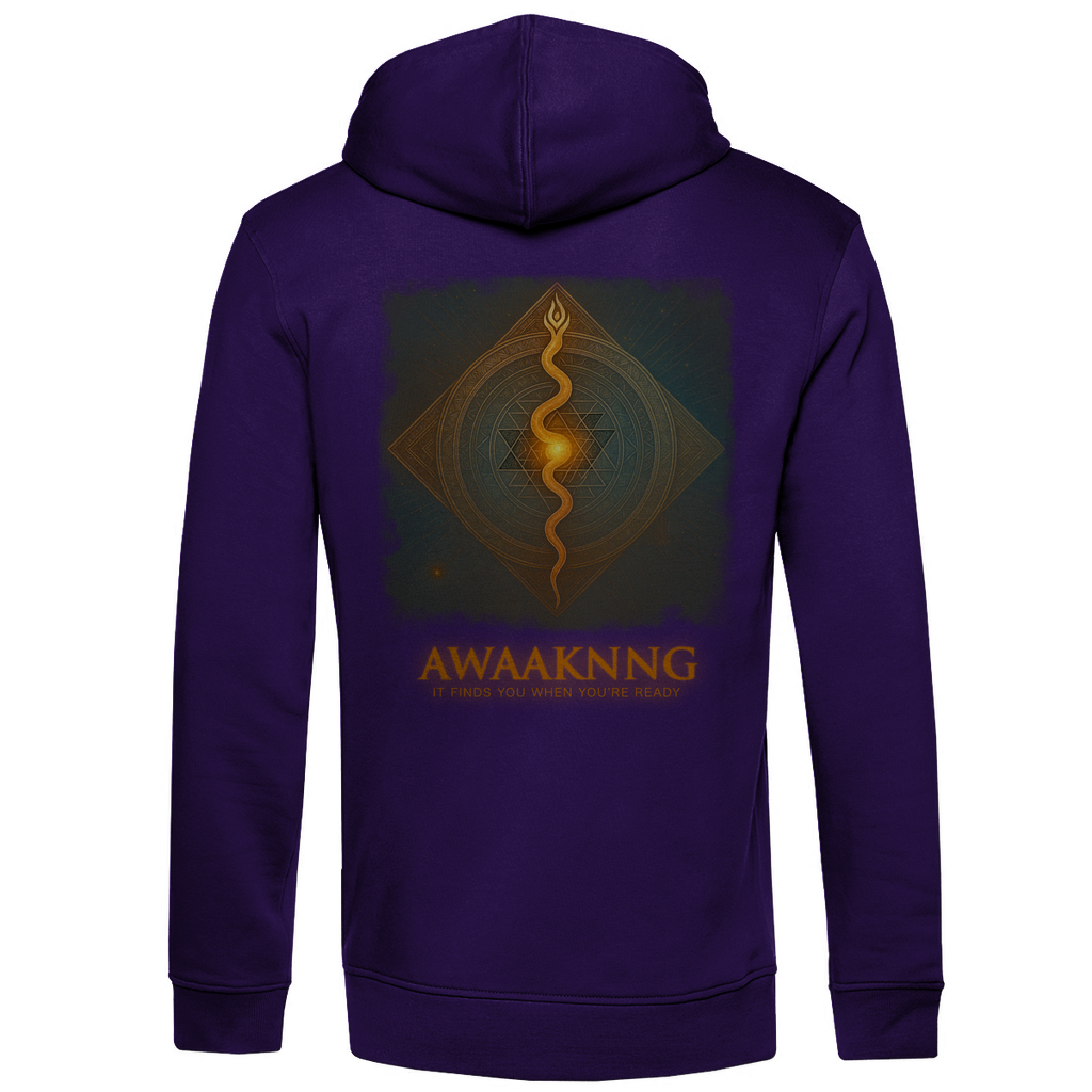 Awaaknng Flame Herren Hoodie