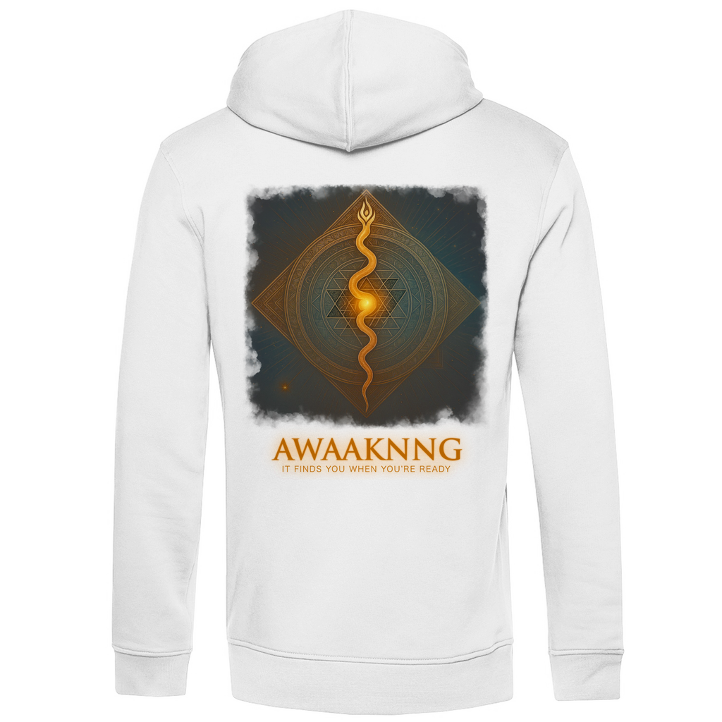 Awaaknng Flame Herren Hoodie
