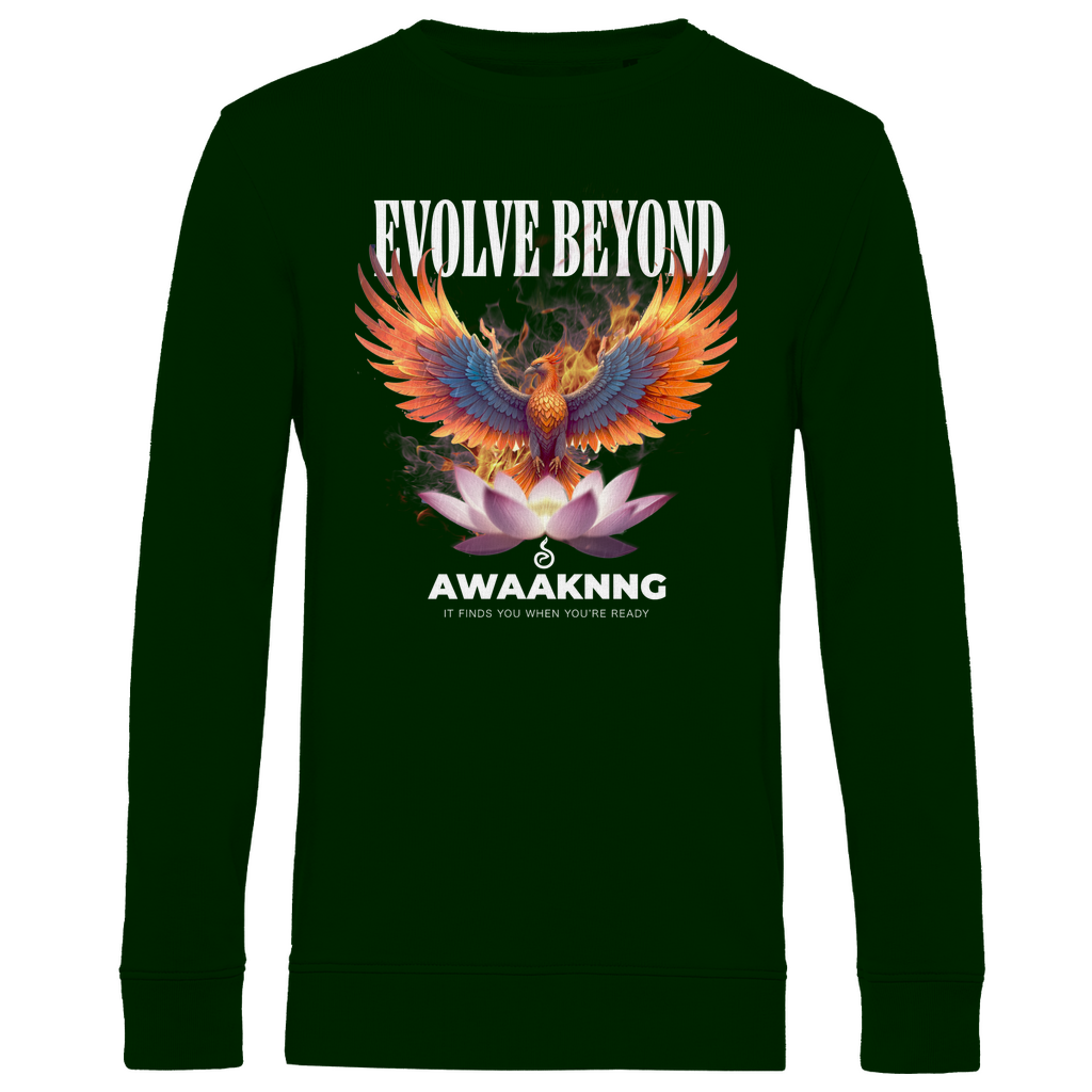 Phoenix Herren Sweatshirt