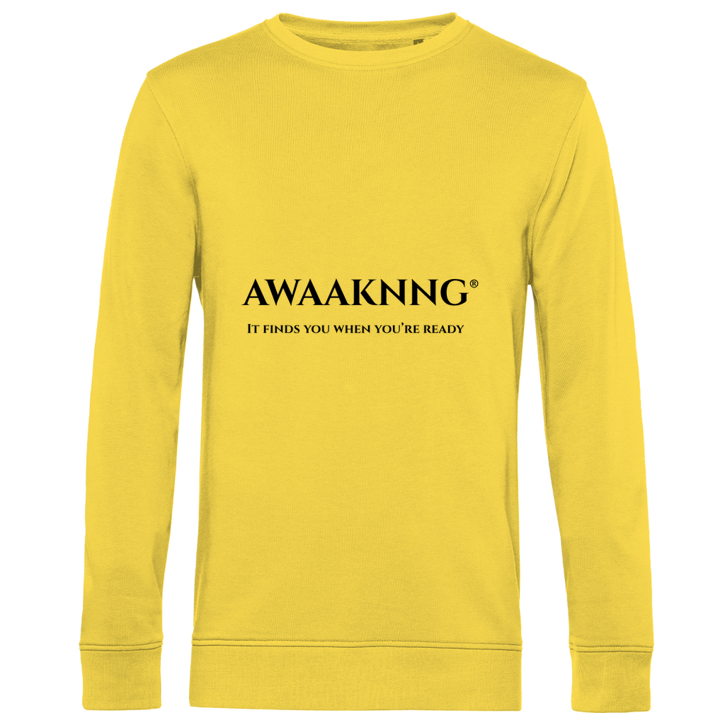 Mirrow within Herren Sweatshirt