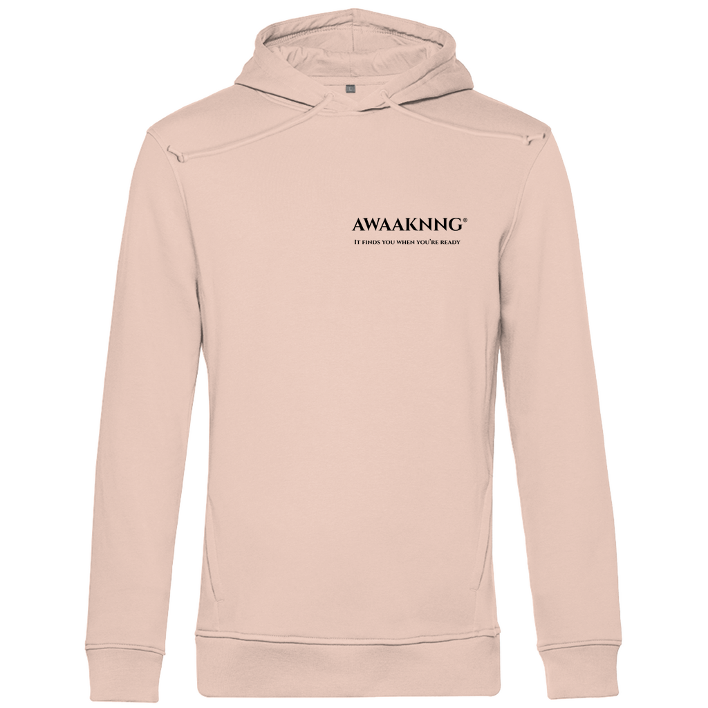 Mirror Within Herren Hoodie