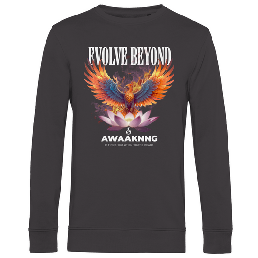 Phoenix Herren Sweatshirt