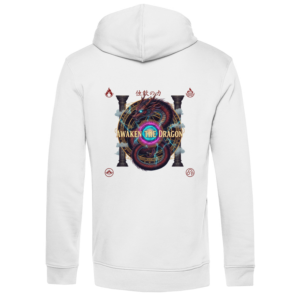 Drachen AWAKEN Herren Hoodie