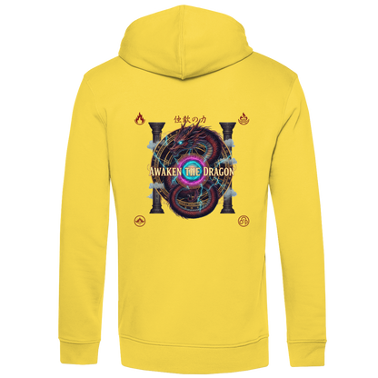 Drachen AWAKEN Herren Hoodie