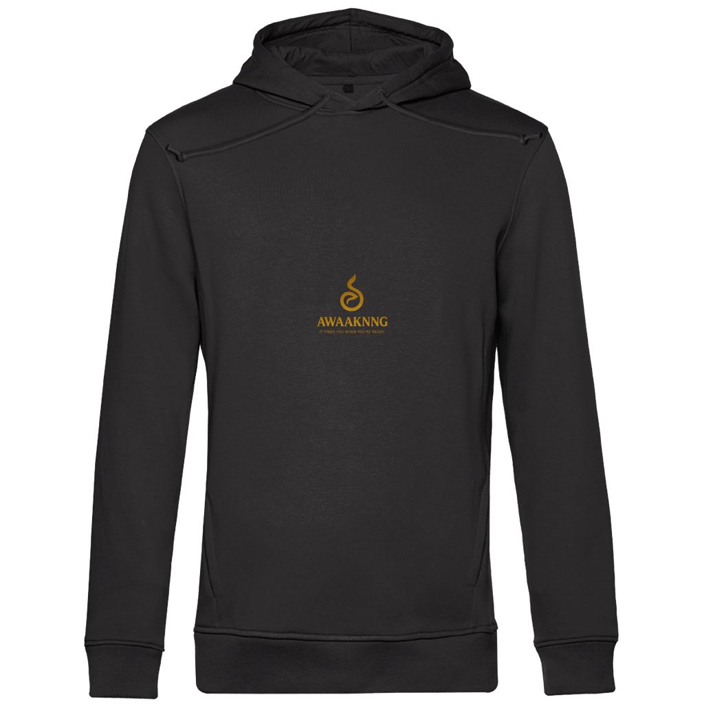 PHÖNIX Herren Hoodie