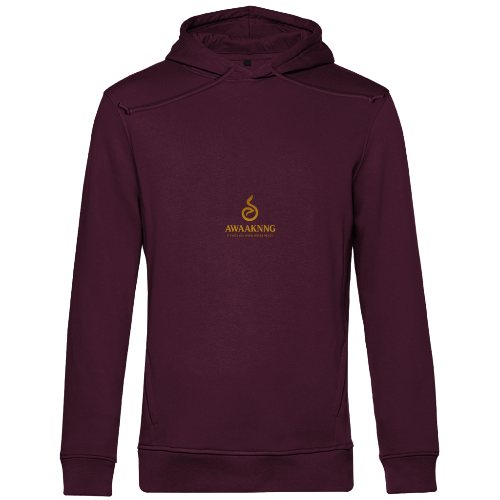 PHÖNIX Herren Hoodie