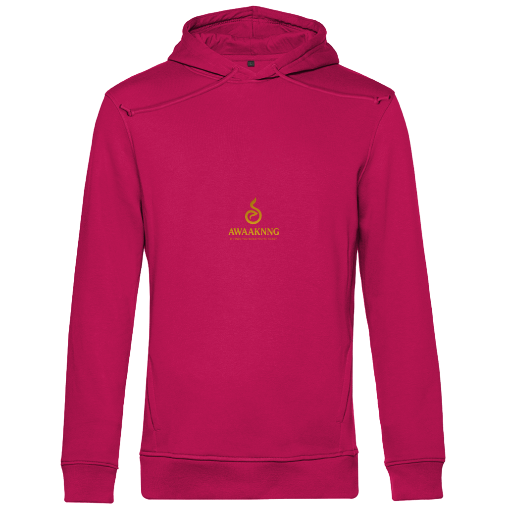 PHÖNIX Herren Hoodie