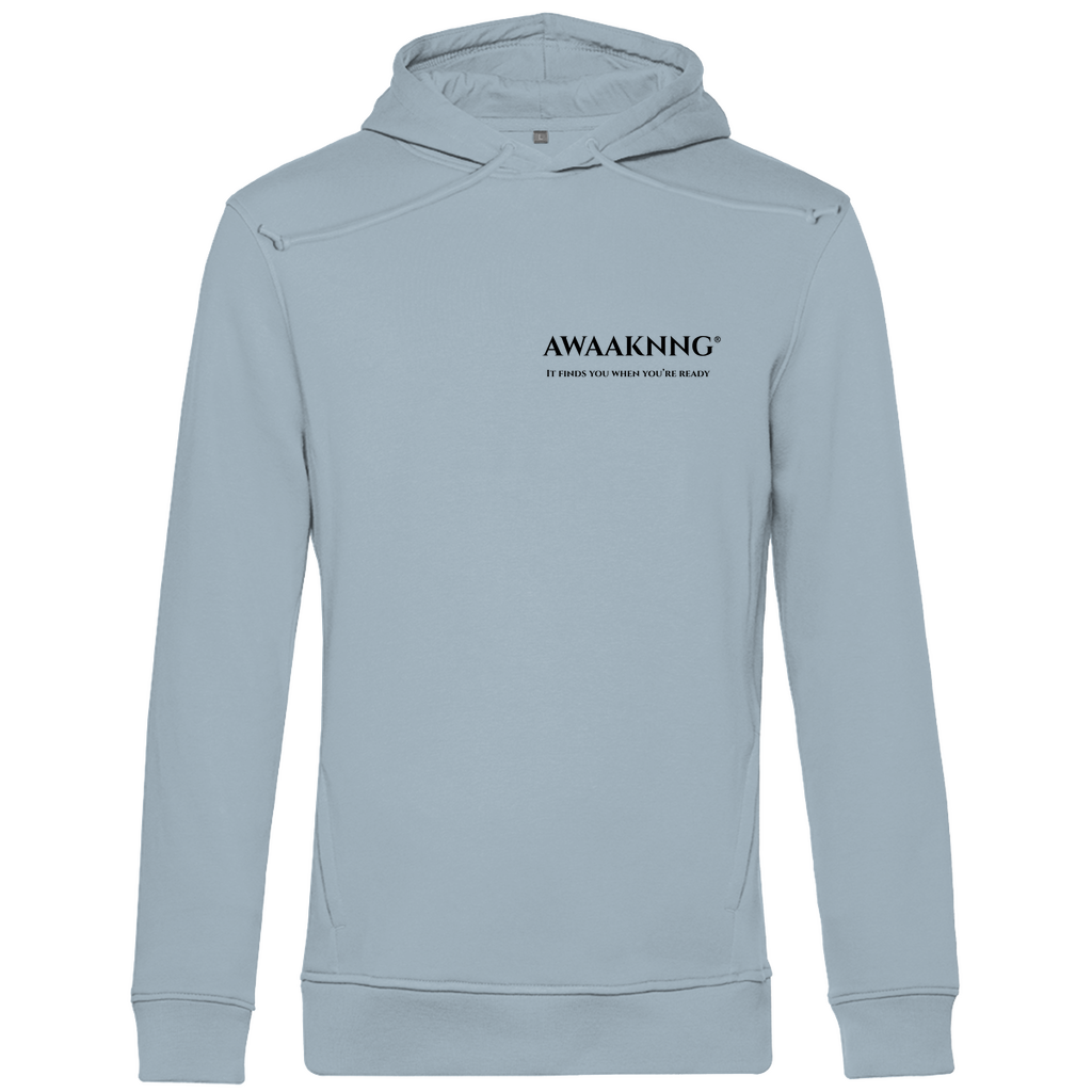 Mirror Within Herren Hoodie