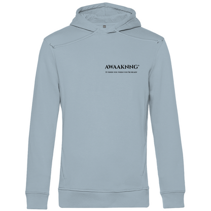 Mirror Within Herren Hoodie