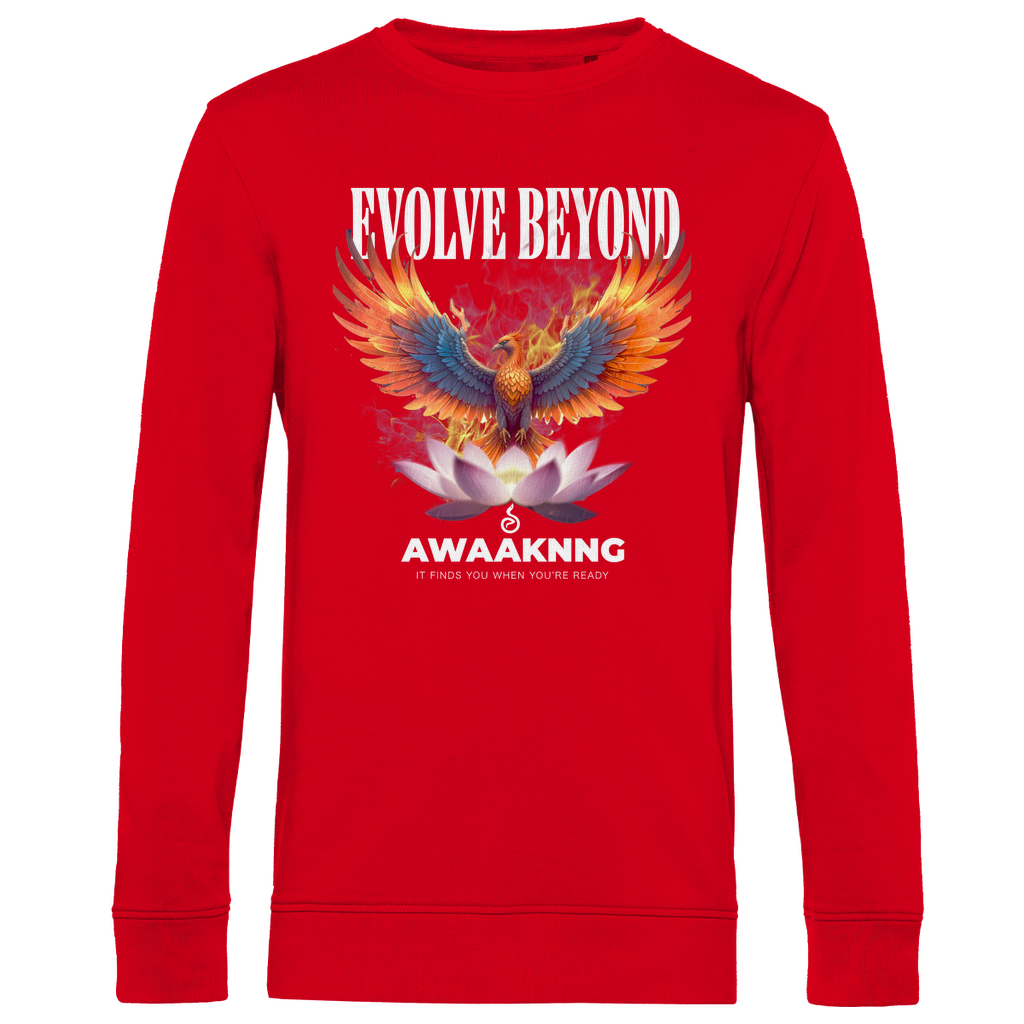 Phoenix Herren Sweatshirt