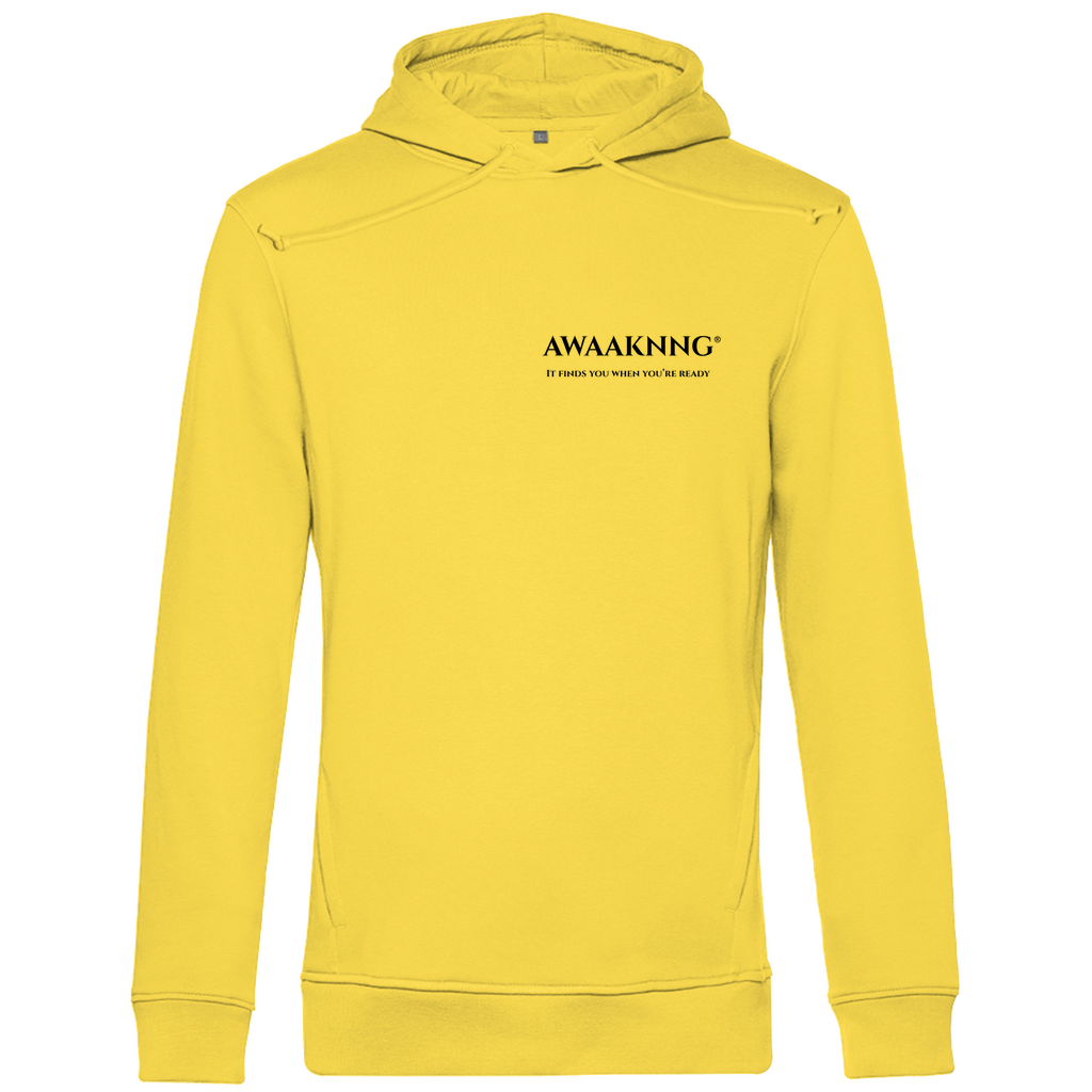 Mirror Within Herren Hoodie