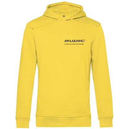 Mirror Within Herren Hoodie