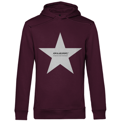 Guiding Star Hoodie