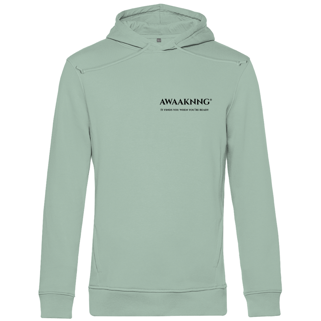 Mirror Within Herren Hoodie