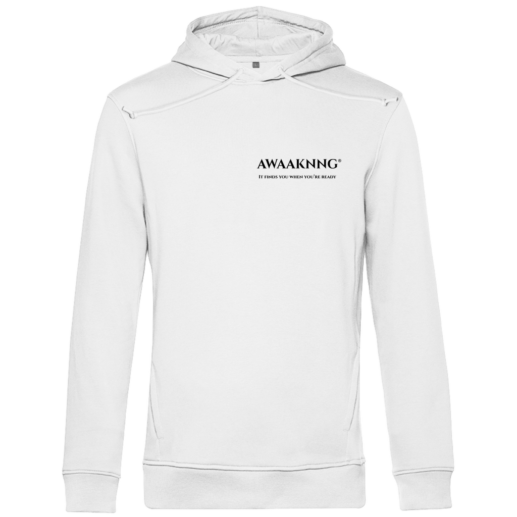 Mirror Within Herren Hoodie